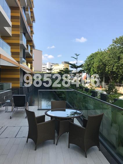 Liv On Wilkie (D9), Apartment #150656232